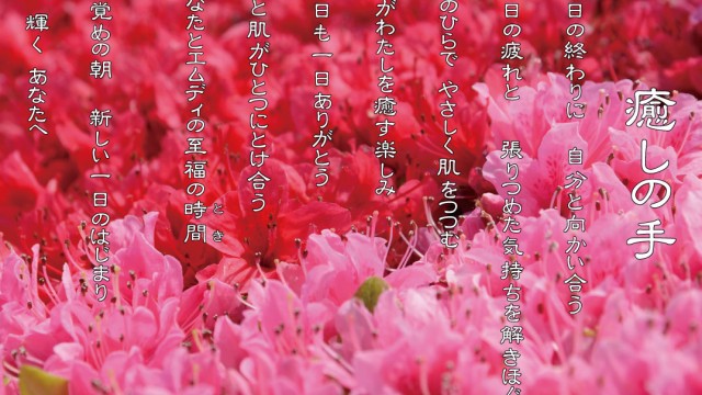 2018年2月 癒しの手 ツツジの花言葉は「節度」「慎み」
