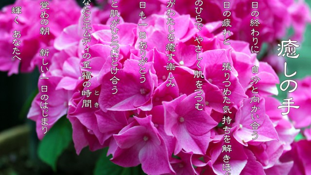 2018年6月 癒しの手 ブーゲンビリアの花言葉は「情熱」「あなたは魅力に満ちている」