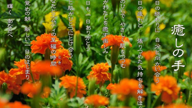 2019年10月 癒しの手 マリーゴールドの花言葉は「勇者」「可憐な愛情」