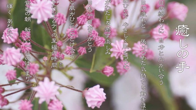 癒しの手 6月 カルミアの花言葉は「優美な女性」「大きな希望」