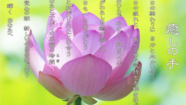 癒しの手 7月 ハスの花言葉:蓮(ハス)の花言葉は「清らかな心」「神聖」「離れゆく愛」「雄弁」