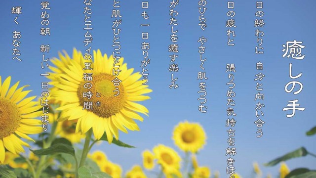 癒しの手 8月 ひまわり(向日葵)」の花言葉は「憧れ」「あなただけを見つめる」