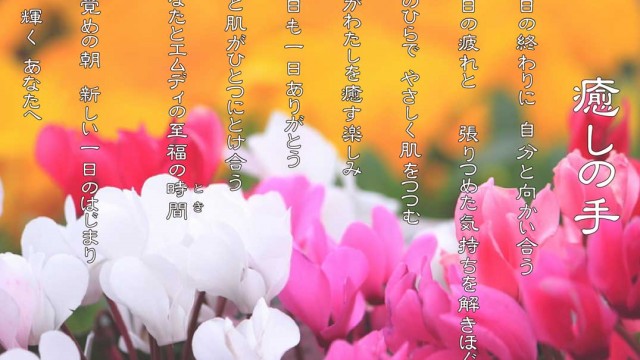 癒しの手 12月 シクラメンの花言葉は「遠慮」「気後れ」「内気」「はにかみ」