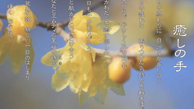 癒しの手 1月 ロウバイ(蝋梅)の花言葉は「奥ゆかしさ」「慈しみ」