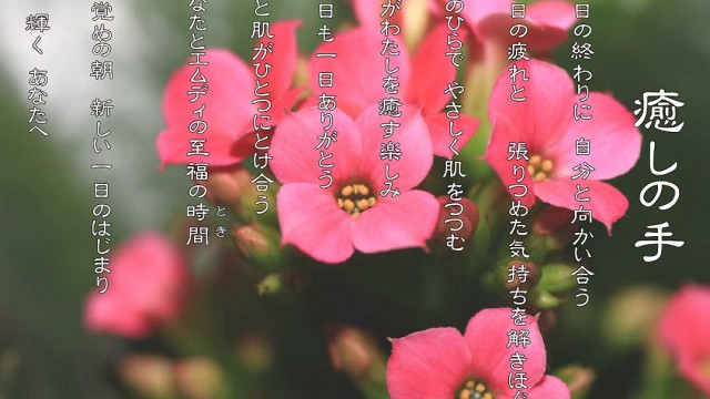 癒しの手 1月 カランコエの花言葉は「幸福を告げる」「たくさんの小さな思い出」「おおらかな心」「あなたを守る」
