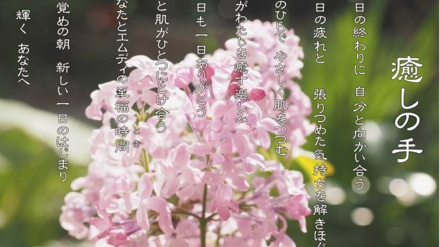 癒しの手 6月 ライラックの花言葉は「思い出」「友情」 癒しの手 6月 ライラックの花言葉は「思い出」「友情」