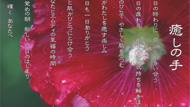 癒しの手 6月 タチアオイ 花言葉は「豊かな実り」 癒しの手 6月 タチアオイ 花言葉は「豊かな実り」
