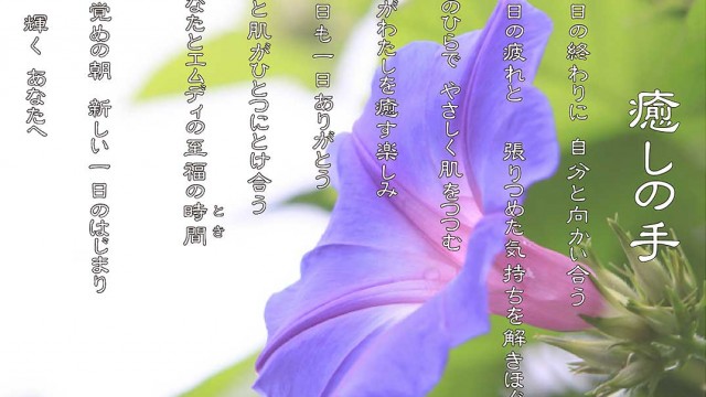 癒しの手 7月 朝顔 花言葉は「はかない恋」「固い絆」「愛情」