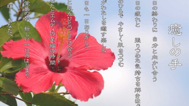 癒しの手 7月 ハイビスカス 花言葉は「常に新しい美」「勇敢」
