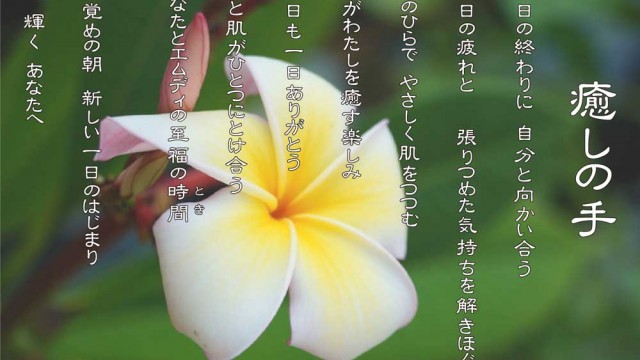 癒しの手 8月 プルメリアの花言葉は「気品」「恵まれた人」「日だまり」「内気な乙女」