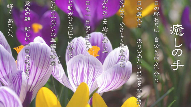 癒しの手 2月 クロッカスの花言葉は「青春の喜び」「切望」