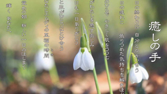 癒しの手 2月 スノードロップの花言葉は「希望」「慰め」