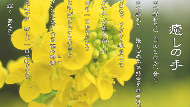癒しの手 3月 菜の花(ナノハナ)の花言葉は「快活」「明るさ」