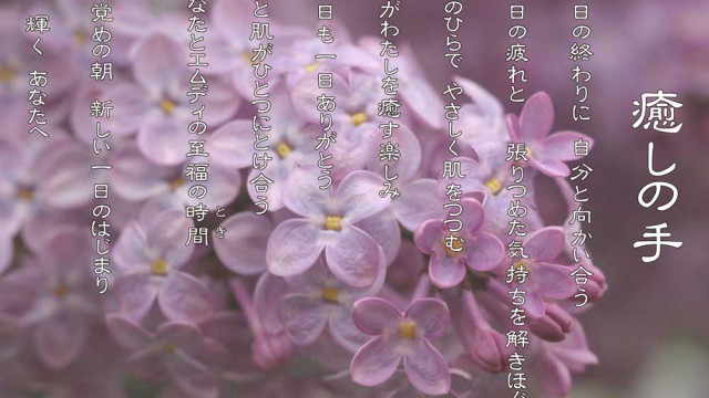 癒しの手 4月 ライラック 花言葉は「友情」「謙虚」「青春の思い出」「純潔」