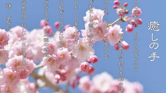 癒しの手 4月  八重桜の花言葉は「豊かな教養」「善良な教育」「理知」「しとやか」「理知に富んだ教育」