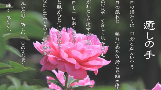 癒しの手 5月 芍薬(シャクヤク)の花言葉は「はじらい」「慎ましさ」