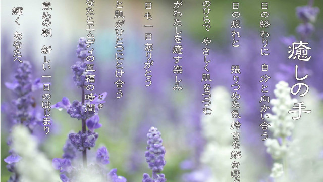 癒しの手 6月 ラベンダーの花言葉は「あなたを待っています」「期待」