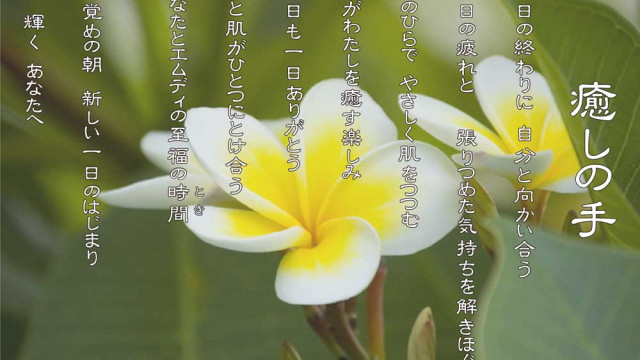 癒しの手 7月 プルメリアの花言葉は「気品」「恵まれた人」「日だまり」