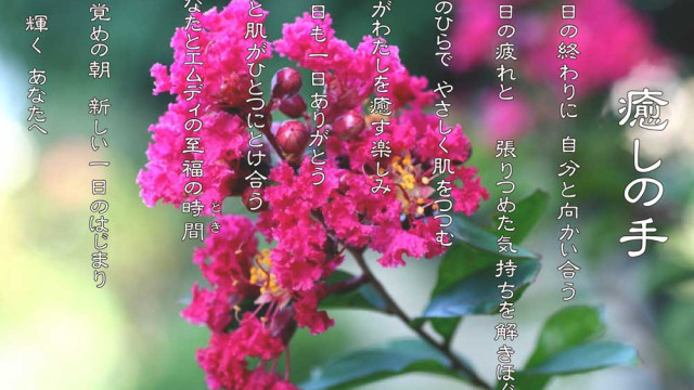 癒しの手 8月 百日紅(サルスベリ)の花言葉は「雄弁」「愛嬌」